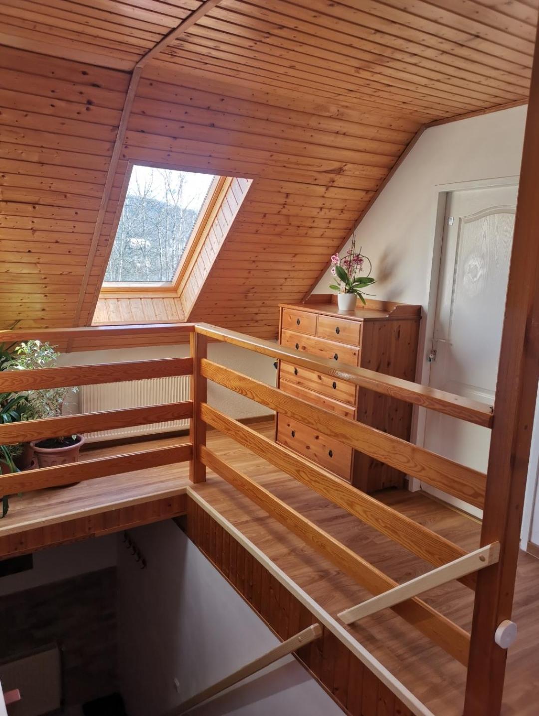 Apartman Jako U Babicky 蒂萨 外观 照片